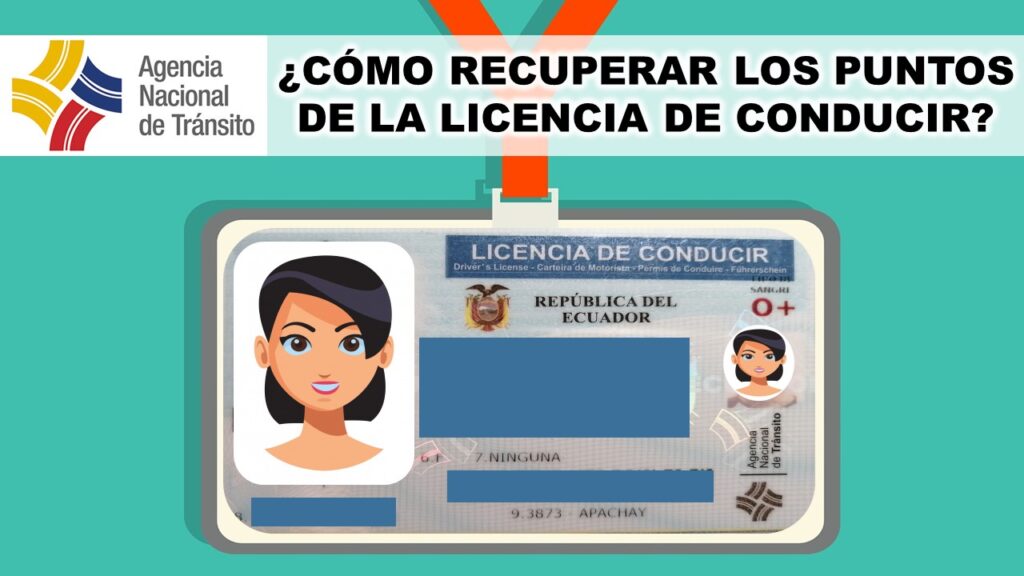 Cómo recuperar los Puntos de la Licencia de Conducir