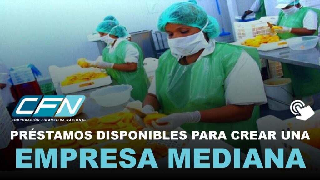 Préstamos para Crear una Empresa Mediana