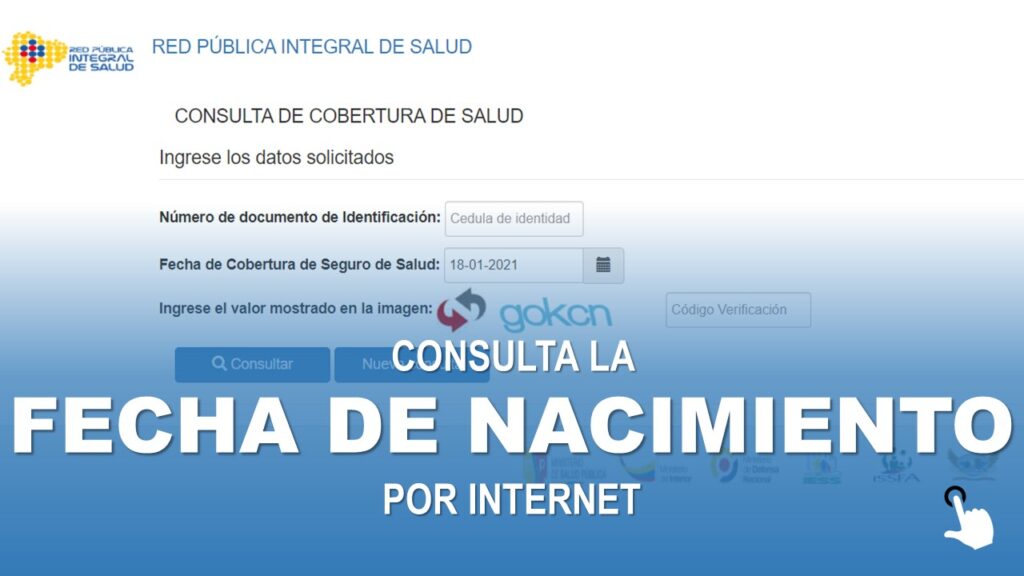 Consulta la Fecha de Nacimiento por Internet