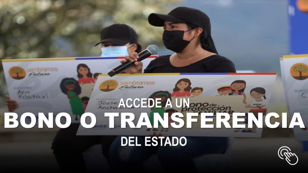 Cómo Acceder a un Bono o Transferencia del Estado