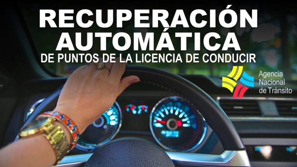Recuperación Automática de Puntos de la Licencia de Conducir