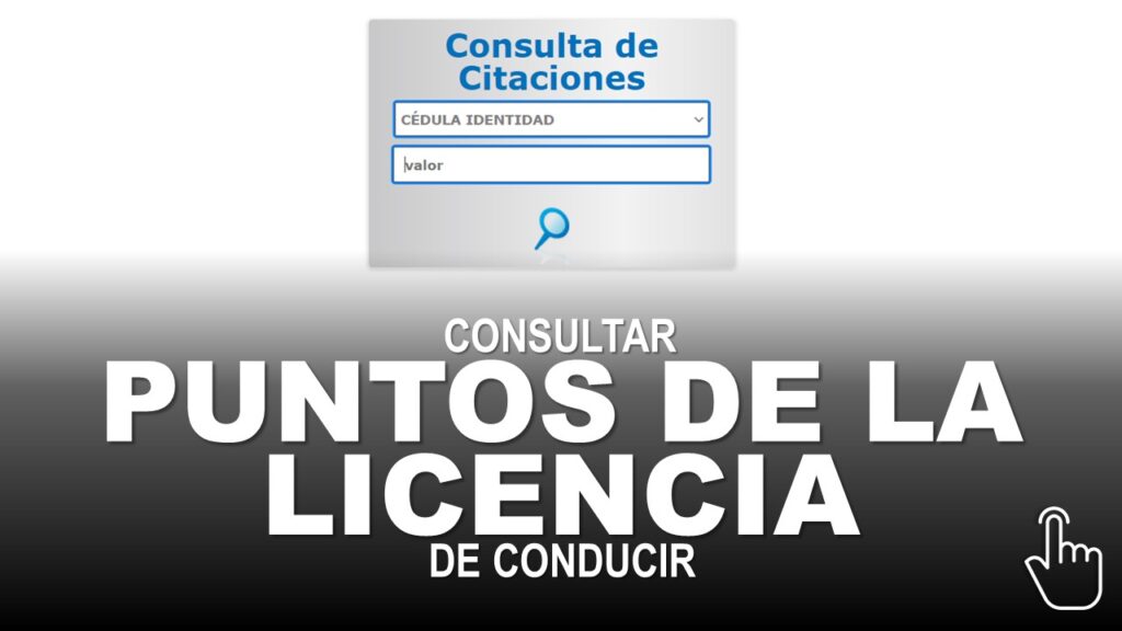 Consultar puntos de la licencia de conducir